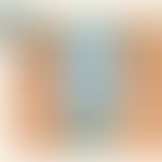 Zygospore:&nbsp;entnommen aus: Leaving Certificate Biology
