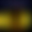 conformation states of the voltage-dependent Na+ channel
