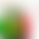Schematische Darstellung der transmembranären Kanalstruktur von TRPM5 (Variiert n. Vorlage aus J....