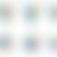 3-dimensionale Struktur von TRPC6 wobei die einzelnen transmembranären Kanalsegmente mit den Term...