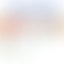 Strukturelle Merkmale und Topologie des TRPC7-Kanals in der Plasmamembran. Dargestellt sind die T...