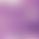 Tricheopitheliom: Konvolut epithelialer, stellenweise trichoid differenzierter&nbsp;Epithelkonvol...
