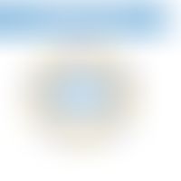 Plasmid: Schematische Darstellung eines ríngförmigen Plasmids
