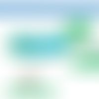 Schematische Darstellung eines Bakteriums mit Hervorhebung der Plasmide und der Plasmidstruktur&n...