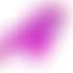 Hirsuties papillaris penis: histologischer Querschnitt. Übersichtsaufnahme.
