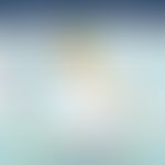 Dimerisierung und Aktivierung&nbsp;des EGF-Rezeptors mit nachgeschalteter Signalkaskade des RAS-M...