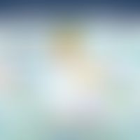 Dimerisierung und Aktivierung&nbsp;des EGF-Rezeptors mit nachgeschalteter Signalkaskade des RAS-M...