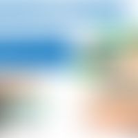 Daclizumab: Wirkweise&nbsp; durch Blockade des IL-2-Rezeptors (vgl. Basiliximab)
