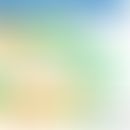 Immunsuppressiva: Wirkungsweise der unterschiedlichen Immunsuppressiva.
