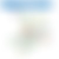 Spink-Genfamilie: Netzwerk und&nbsp;Interaktionen
