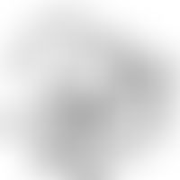 Carboanhydrase: 3D-Rekonstruktion des Proteinkörpers
