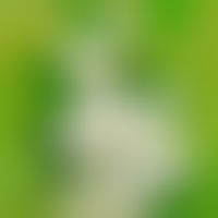 Weißdorn: Blüten und Blätter des Weißdornstrauchs
