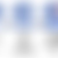 Die Entwicklungsstadien von Natürlichen Killerzellen (modifiziert nach Caligiuri, 2008): NK-Zellv...