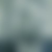 Brill, Ernst Heinrich&nbsp;
