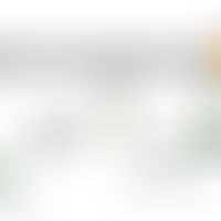 Schematische Darstellung der ERM-Aktivitätsregulation. ERM-Proteine bilden durch intra- oder inte...