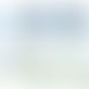 IFN-aktivierte ISG-Transkription, die durch ISGF3-, GAF- und STAT2/IRF9-Komplexe vermittelt wird....