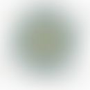 HHV-8: schematische Darstellung des Virus; entommen aus Dreamstime.com

