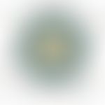 HHV-8: schematische Darstellung des Virus; entommen aus Dreamstime.com
