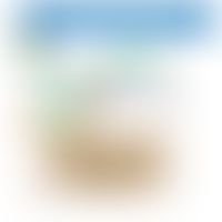 Picornaviren: schematische und beispielhafte Darstellung der&nbsp;Bindungsstrukturen von Rezeptor...