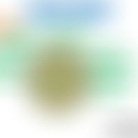 Schematische Darstellung des Virions von Pneumoviridae
