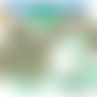 Viloviridae: Struktur der Filoviridae, hier dargestellt an Hand eines Ebola-Virus&nbsp;
