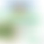 Rhabdovirida: Schematische Darstellung der Struktur&nbsp;&nbsp;
