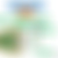 Rhabdovirida: Schematische Darstellung der Struktur&nbsp;&nbsp;

