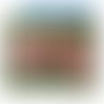 Streptococcus viridans: Rasterelektronenmikroskopische Aufnahme&nbsp;
