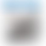 Rickettsia: Invasion eines Bakteriums in eine Endothelzelle. Entnommen aus Microbiology and Immun...