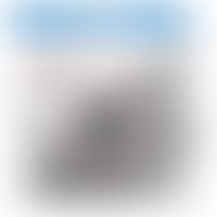 Rickettsia: Invasion eines Bakteriums in eine Endothelzelle. Entnommen aus Microbiology and Immun...