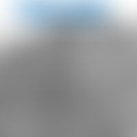 Rickettsia: multiple Erreger in einer Endothelzelle. Elektronenmikroskopische Aufnahme.&nbsp;Ento...