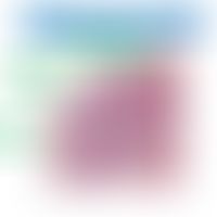 Peyer`sche-Plaques: Angeschnitten sind 2 Lymphfollikel mit dem charakteristischem&nbsp;Lymphfolli...