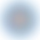 &nbsp;

Schematische Darstellung eines Vertreters der Gattung Mycoplasma. Entommen aus MedLexi.de...