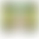 Plakoglobin:&nbsp; Schematische Darstellung von Zell-Zell-Kontakten. Abb. entnommen aus:&nbsp;Hin...