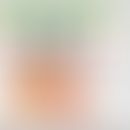 Struktur von Desmosomen unter Einbeziehung von Plakoglobin. Abbildung entommen aus: Holthöfer B e...