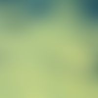 Immunhistologisch mittels Immunogold-markierte Kapillare (Faktor VIII) im Semidünnschnitt. Die En...