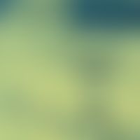 Detailvergrößerung, s. vorherige Aufnahme: Immunhistologisch mittels Immunogold-markierte Kapilla...