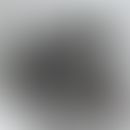 Kollagenfasern, Elektronenmikroskopisches Bild mit Kollagenfibrillen im Längs- (roter Pfeil) und ...