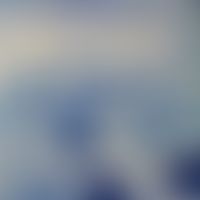 Bläschen im Semidünnschnitt
