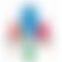 Schematische Darstellung des T-Zell-Rezeptors mit den unterschiedlichen Komponenten. Abbildung en...
