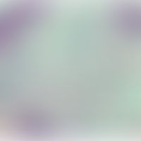 Diffuse normolipämische plane Xanthome: Diffuse Aggregation von Schaumzellen in der oberen und mi...