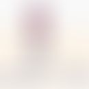 Interleukin-10-Rezeptorstruktur mit dem&nbsp;heterotetramerische Assemblierungskomplex, der aus z...