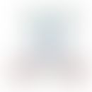 Schematische Darstellung des BCR-Rezeptor-Komplexes. Zentral das in der Zellmembran verankerte Im...