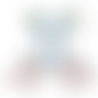 Schematische Darstellung des BCR-Rezeptor-Komplexes. Zentral das in der Zellmembran verankerte Im...
