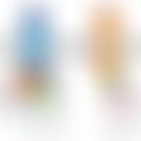 Schematische Darstellung des&nbsp; transmembranen TNFRSF1A/TNFRSF1B-Rezeptors mti den nachfolgend...