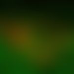 Pemphigoid bullöses: lineare IgG Ablagerungen (grüne Fluorezenz), darunter mit roter Fluoreszenz ...