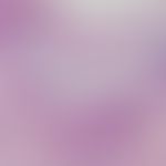 IgA-Pemphigus: akantholytische intraepitheliale Blase mit Neutrophilen.&nbsp; Abb. entnommen aus:...
