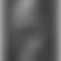 Vittorio&nbsp;Mibelli
