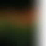 Pemphigus foliaceus, endemischer:&nbsp;Bei aktiver Erkrankung immer nachweisbare Ablagerungen von...