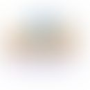 EC-Domäne: schematische Darstellung der extrazellulären, membranösen und intrazellulären Anteile ...